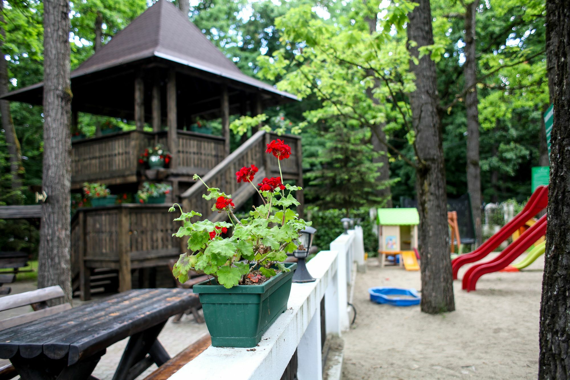 Hotel Cornul Vanatorului Piteşti Exterior foto
